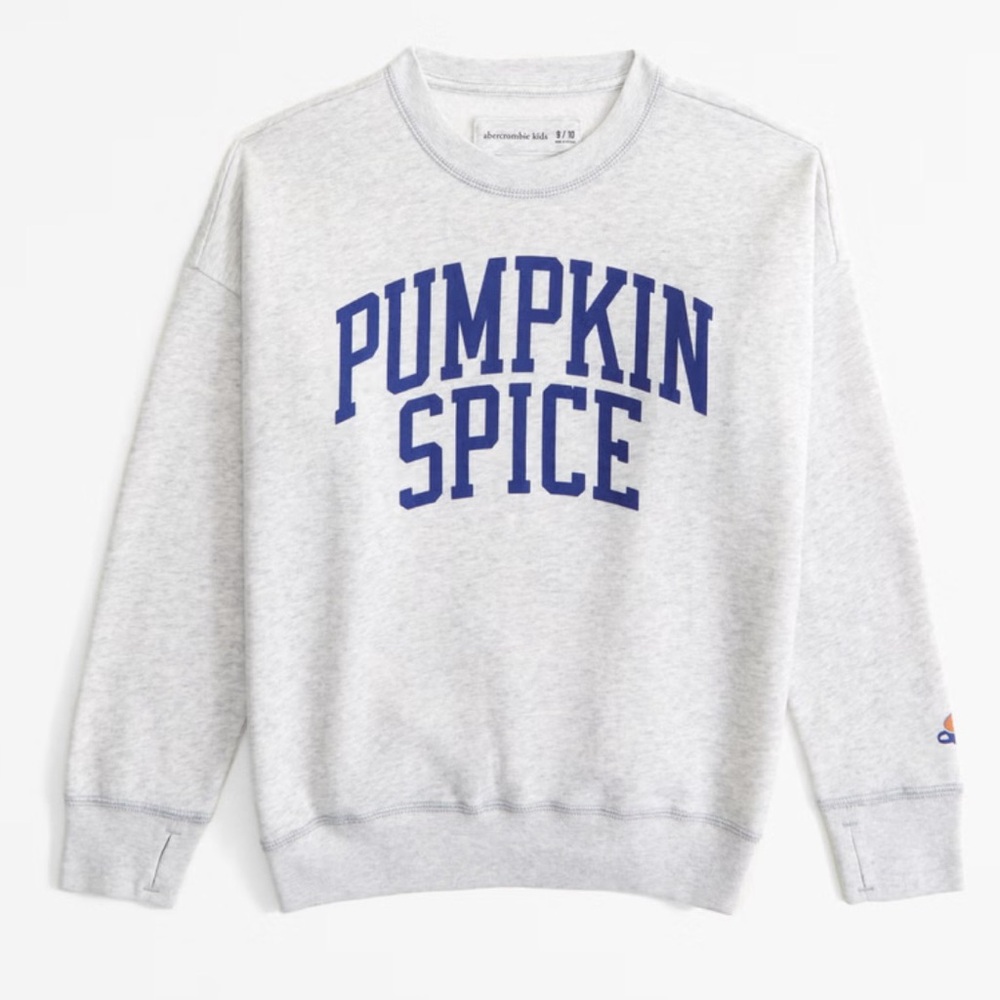 ABERCROMBIE Kids Girls Sweatshirt Top Shirt Pullover
